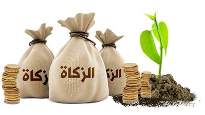 قيمة زكاة الفطر في بعض الدول العربية.. والسعودية 25 ريال