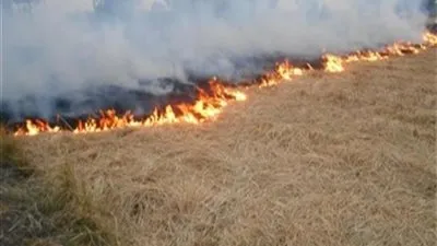 عاجل.. السيطرة على حريق مخزن قش أرز بالشرقية