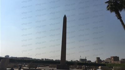 فسحتك في العيد... الشجرة التي خبأت العائلة المقدسة ومسلة عمرها 3500 عام