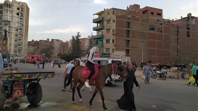  ركوب الخيل.. أهم مظاهر الاحتفال بثاني أيام عيد الفطر بالغربية 