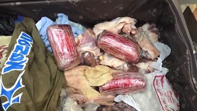 إحباط تهريب ١٨٦٠٠ قرص كبتاجون مخدر عبر مطار القاهرة