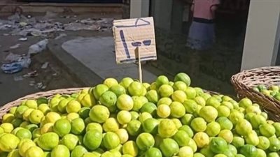 أستاذ بمركز البحوث يكشف السبب الحقيقي وراء ارتفاع سعر الليمون 