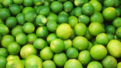 الزراعة عن ارتفاع أسعار الليمون: 