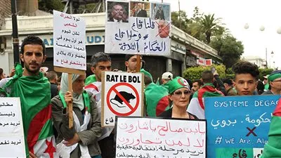 سيناتور جزائري: الدعوة للحوار الآن تتمحور حول نقطة واحدة