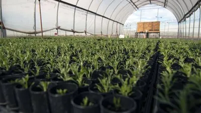 خريطة مشروعات مصر.. 