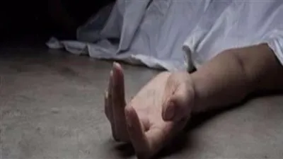 شاب يطعن والدته المسنة بالبساتين 