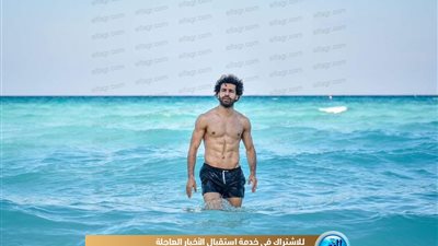 بشار أبو طالب لـ