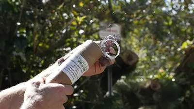 فيروس غرب النيل 