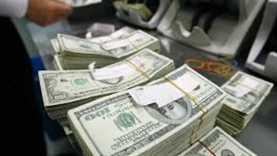 هل تتأثر مدخرات ١٣ مليون مصري بالخارج بانخفاضات الدولار؟