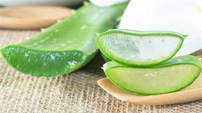 وصفات الألوفيرا لحرق الدهون الزائدة.. جربيها