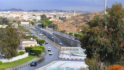 الأرصاد: هطول أمطار رعدية على محافظات الطائف والعرضيات وميسان