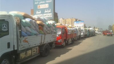 توريد 135 ألف طن قمح بنسبة 101% من المستهدف من القمح بالغربية