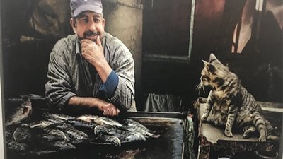 عبدالرحيم: المتحف الإسلامي يحي فنون التصوير بكاميرا الموبايل (صور)