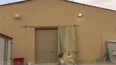 ضبط مصنع لإنتاج الألبان مخالف داخل مزرعة في الخرج