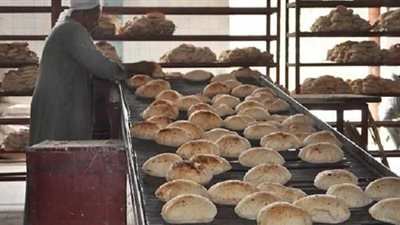 التطبيق يوليو المقبل.. 