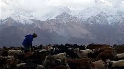 مروحية تابعة للجيش الباكستاني تنقذ المتسلقين المحاصرين في انهيار جليدي شمال البلاد