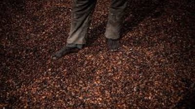 متظاهرون في نيبال يطالبون الحكومة بالابتعاد عن أمانات الاستثمار