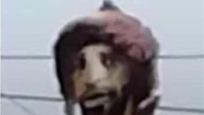 على طريقتهم الخاصة.. أهالي الغربية يحتفلون بـ 