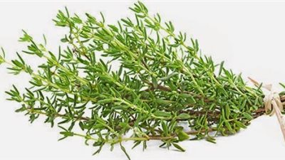 تعرف على فوائد الزعتر الصحية 