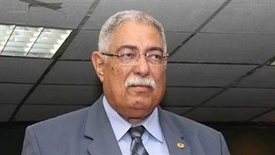 خبير بترولي: توصيل الغاز للمنازل سيشعر المواطن أن ثروة بلده تصل إليه