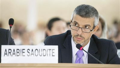 المملكة: نحرص على تقديم الجناة في قضية 