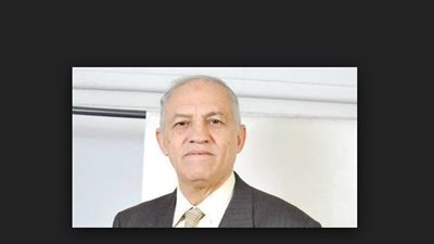 خبير أمني: الدولة تسير بخطى واثقة نحو تحقيق 