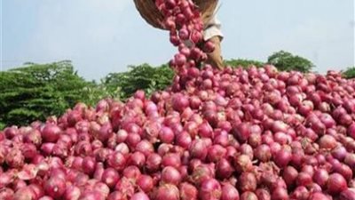 أسعار الخضروات والفاكهة في سوق العبور اليوم الأربعاء 26-6-2019