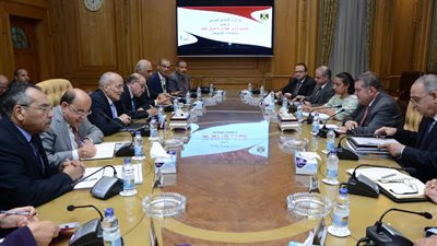 وزيرا الإنتاج الحربي وقطاع الأعمال يتعاونان لتصنيع السيارات الكهربائية