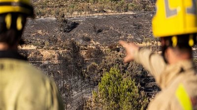 مع استمرار الموجة الحارة.. أسبانيا تسيطر علي حريق كبير في كتالونيا 