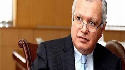 دبلوماسي سابق: ثورة 30 يونيو نقطة مضيئة في تاريخ مصر