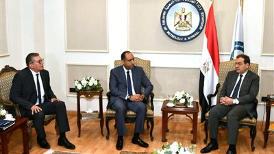   وزير البترول يبحث مع رئيس 