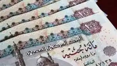 لتصحيح مسار الاقتصاد المصري.. تعرف على أهم العلاوات في الموازنة الجديدة (فيديو)