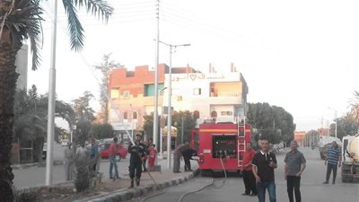 حملة لتهجير طائر أبو قردان بمركز الداخلة لللعودة لموطنه الأصلي عن طريق سيارات الإطفاء