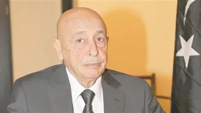 رئيس مجلس النواب الليبي: مصر وليبيا أمن واحد