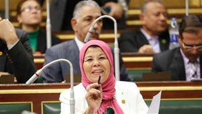 برلمانية: الموافقة على قانون التأمينات الاجتماعية إنجاز جديد لأصحاب المعاشات في عهد السيسي