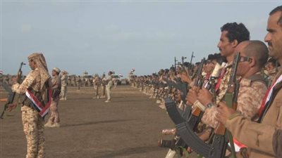 قيادة موحدة في الساحل الغربي..ما هي حقيقة تعيين طارق صالح قائدا؟  (تقرير)