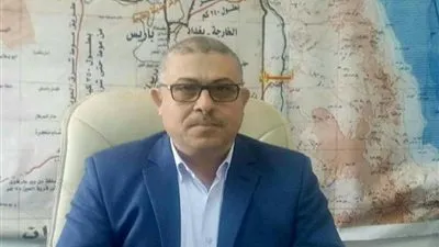 حصر عاجل للمنازل التى هاجمها النمل الأبيض في الوادي الجديد