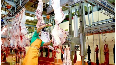 إغلاق صالة الذبح في مسلخ 