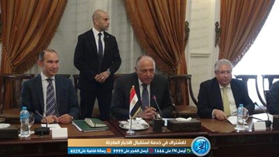 جلسة مباحثات مشتركة بين سامح شكرى ونظيره الفنلندي بالقاهرة (صور)