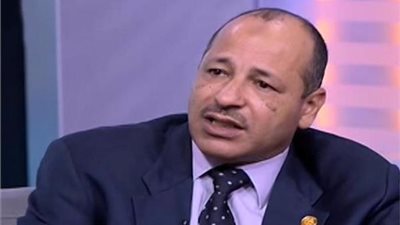 عادل العمدة: تكريم السيسي لأسر الشهداء يؤكد أن مصر دولة قيم (فيديو)