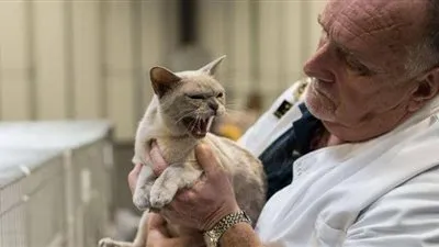 ولاية أمريكية تتبنى قانونا 