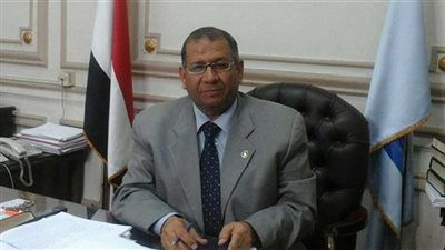 أحمد الشربيني: 