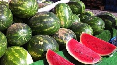 استاذ اقتصاد زراعي يكشف حقيقة وجود بطيخ مسمم 