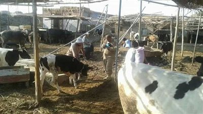 دول الأزمات X أسبوع.. جيش الإحتلال يهدم منازل الفلسطينيين بالقدس الشرقية.. والجيش اليمني يحرر عدة مواقع في الجوف