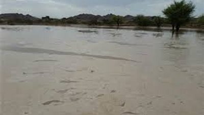 الأمطار الغزيرة تغمر معظم مناطق جنوب اليمن 