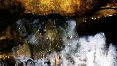 خصائصه وفوائده.. حقائق حول 