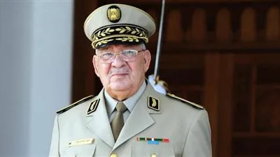 رئيس أركان الجيش الجزائري: متمسكون بالحل الدستوري للحفاظ على كيان الدولة