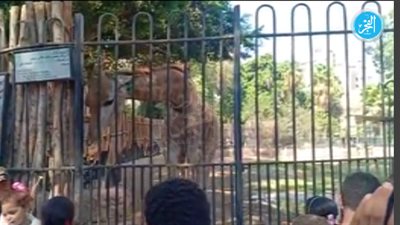 شاهد.. زحام بحديقة الحيوان ثالث أيام عيد الأضحى