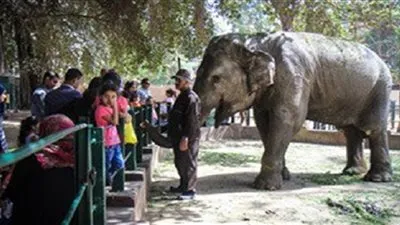 حديقة الحيوان: استقبلنا أكثر من ربع مليون مواطن خلال أيام عيد الأضحى