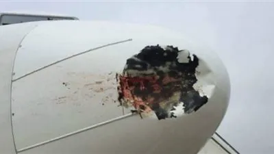 23 مصابًا إثر هبوط اضطراري لطائرة روسية بعد اصطدامها بسرب طيور